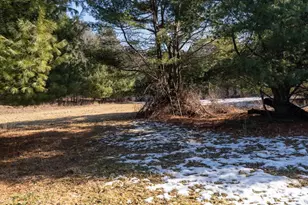 W7113 Leigh Rd, Mauston, WI 53948 - Photo 67