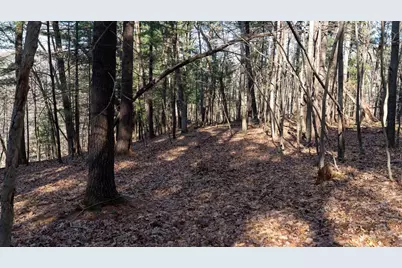 W7113 Leigh Road, Mauston, WI 53948 - Photo 41