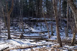 W7113 Leigh Rd, Mauston, WI 53948 - Photo 51