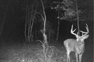 W7113 Leigh Rd, Mauston, WI 53948 - Photo 31