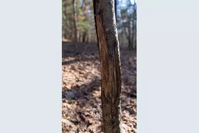 W7113 Leigh Road, Mauston, WI 53948 - Photo 37