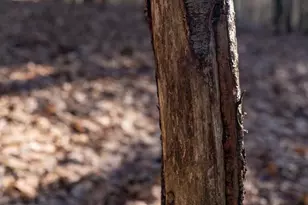 W7113 Leigh Rd, Mauston, WI 53948 - Photo 37