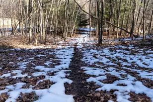 W7113 Leigh Rd, Mauston, WI 53948 - Photo 59