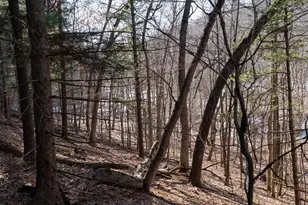 W7113 Leigh Rd, Mauston, WI 53948 - Photo 41