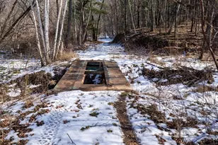 W7113 Leigh Rd, Mauston, WI 53948 - Photo 63