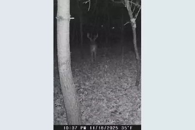 W7113 Leigh Road, Mauston, WI 53948 - Photo 27