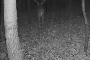 W7113 Leigh Rd, Mauston, WI 53948 - Photo 27