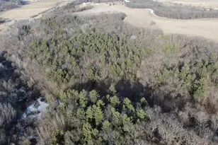 W7113 Leigh Rd, Mauston, WI 53948 - Photo 3