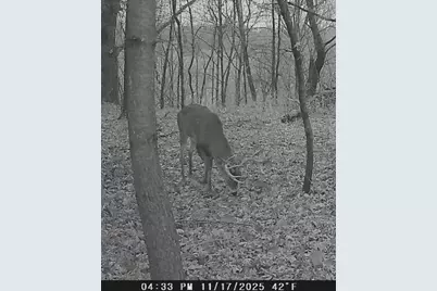 W7113 Leigh Road, Mauston, WI 53948 - Photo 25