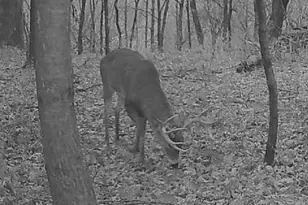 W7113 Leigh Rd, Mauston, WI 53948 - Photo 25