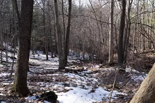 W7113 Leigh Rd, Mauston, WI 53948 - Photo 35