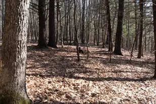 W7113 Leigh Rd, Mauston, WI 53948 - Photo 45