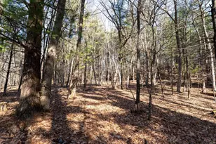 W7113 Leigh Rd, Mauston, WI 53948 - Photo 49