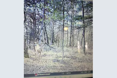 W7113 Leigh Road, Mauston, WI 53948 - Photo 19