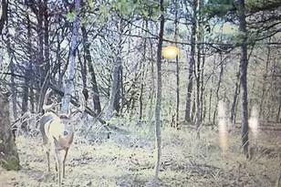 W7113 Leigh Rd, Mauston, WI 53948 - Photo 19