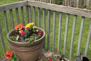 213 W Monowau St, Tomah, WI 54660 - Photo 43