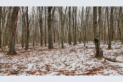 73+/- Acres Germantown Road, New Lisbon, WI 53950 - Photo 55