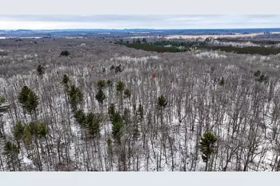 73+/- Acres Germantown Road, New Lisbon, WI 53950 - Photo 5