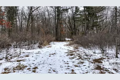 73+/- Acres Germantown Road, New Lisbon, WI 53950 - Photo 9