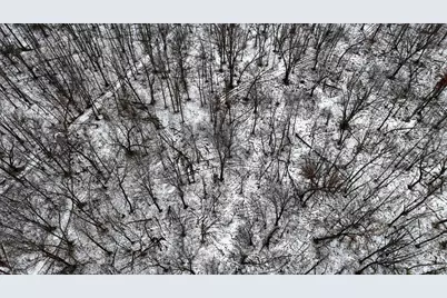 73+/- Acres Germantown Road, New Lisbon, WI 53950 - Photo 39