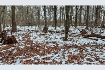 73+/- Acres Germantown Road, New Lisbon, WI 53950 - Photo 51