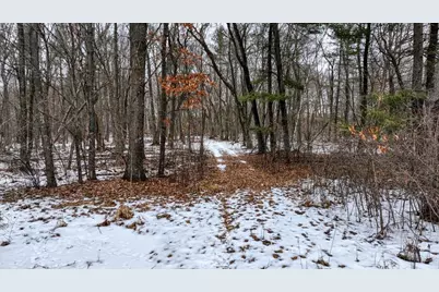 73+/- Acres Germantown Road, New Lisbon, WI 53950 - Photo 11