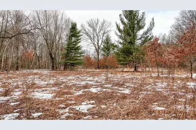 73+/- Acres Germantown Road, New Lisbon, WI 53950 - Photo 49