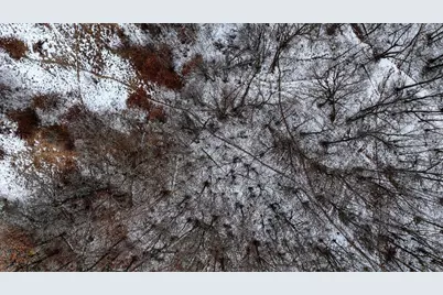 73+/- Acres Germantown Road, New Lisbon, WI 53950 - Photo 15