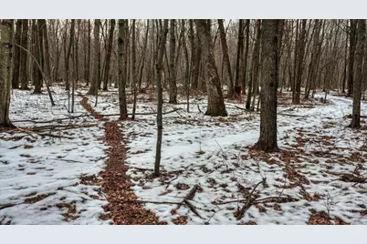 73+/- Acres Germantown Road, New Lisbon, WI 53950 - Photo 21