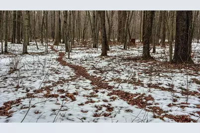 73+/- Acres Germantown Road, New Lisbon, WI 53950 - Photo 23