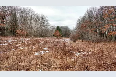 73+/- Acres Germantown Road, New Lisbon, WI 53950 - Photo 27