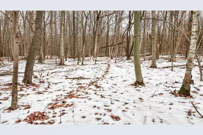 73+/- Acres Germantown Road, New Lisbon, WI 53950 - Photo 25