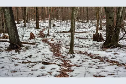 73+/- Acres Germantown Road, New Lisbon, WI 53950 - Photo 53