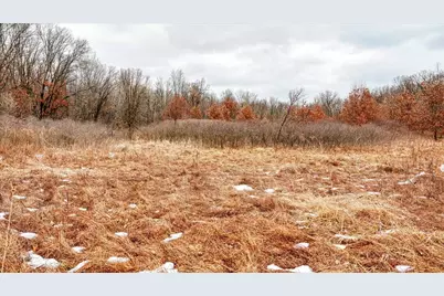 73+/- Acres Germantown Road, New Lisbon, WI 53950 - Photo 31