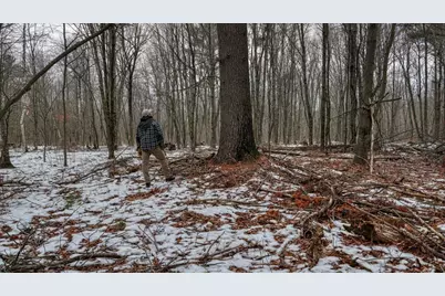 73+/- Acres Germantown Road, New Lisbon, WI 53950 - Photo 7