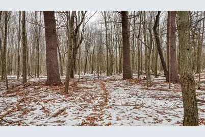 73+/- Acres Germantown Road, New Lisbon, WI 53950 - Photo 41