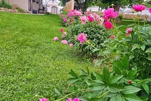 W3959 North St, Mindoro, WI 54644 - Photo 21