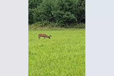 N4893 10th Avenue, Montello, WI 53949 - Photo 75