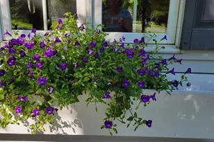 N7929 Doty Dr, Ripon, WI 54971 - Photo 5