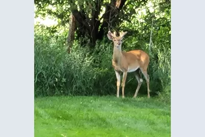 N7929 Doty Drive, Ripon, WI 54971 - Photo 69