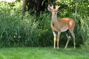 N7929 Doty Dr, Ripon, WI 54971 - Photo 69