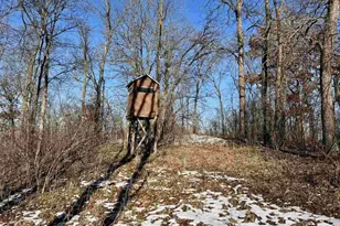 16410 Waltz Ln, Boscobel,  53805 - Photo 31