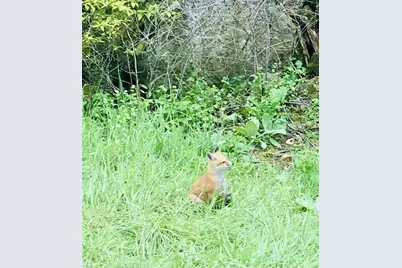 16410 Waltz Lane, Boscobel,  53805 - Photo 59