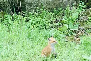 16410 Waltz Ln, Boscobel,  53805 - Photo 59