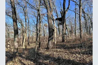 16410 Waltz Lane, Boscobel,  53805 - Photo 29