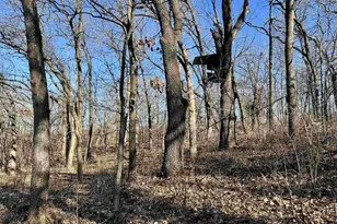 16410 Waltz Ln, Boscobel,  53805 - Photo 29