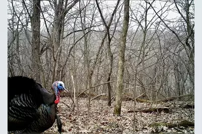 16410 Waltz Lane, Boscobel,  53805 - Photo 61