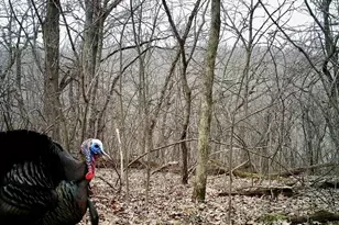 16410 Waltz Ln, Boscobel,  53805 - Photo 61