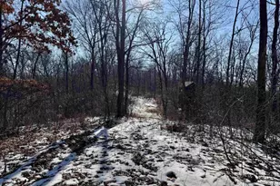 16410 Waltz Ln, Boscobel,  53805 - Photo 41