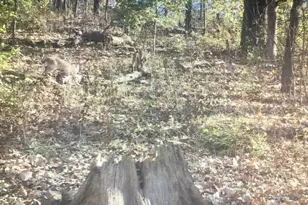 16410 Waltz Ln, Boscobel,  53805 - Photo 57